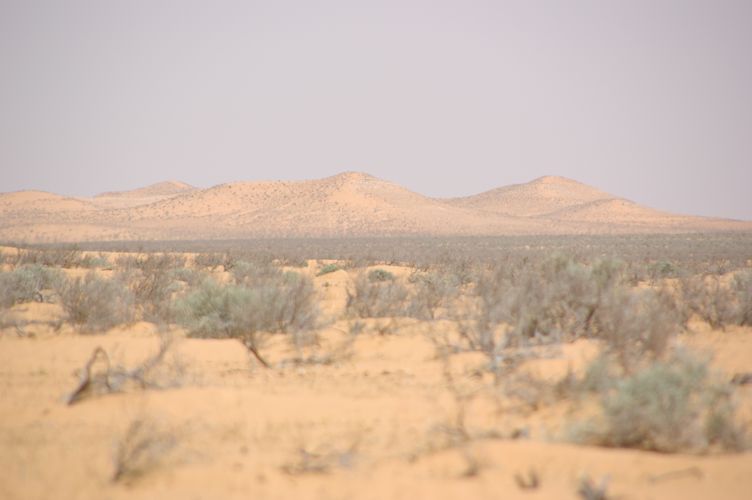 chenini