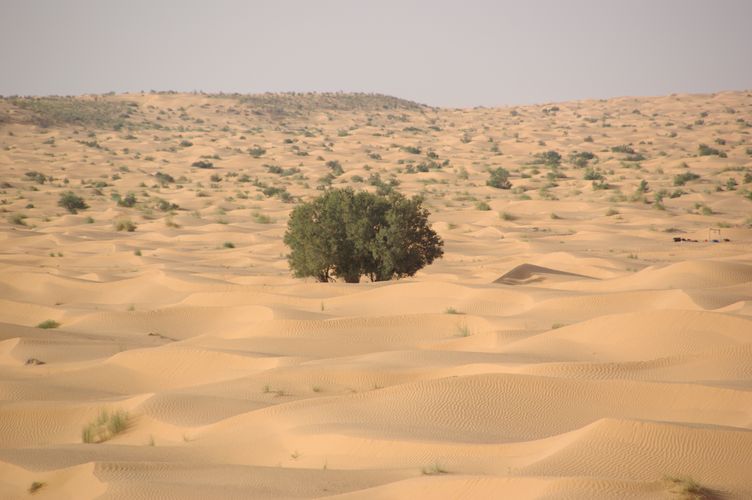 Ride across the dunes
