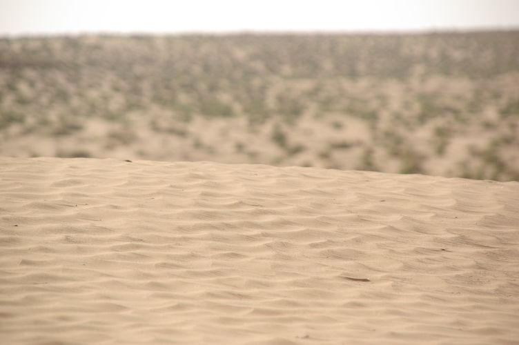 Ride across the dunes