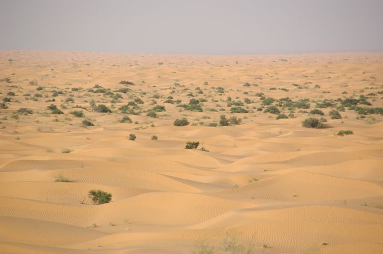 Ride across the dunes