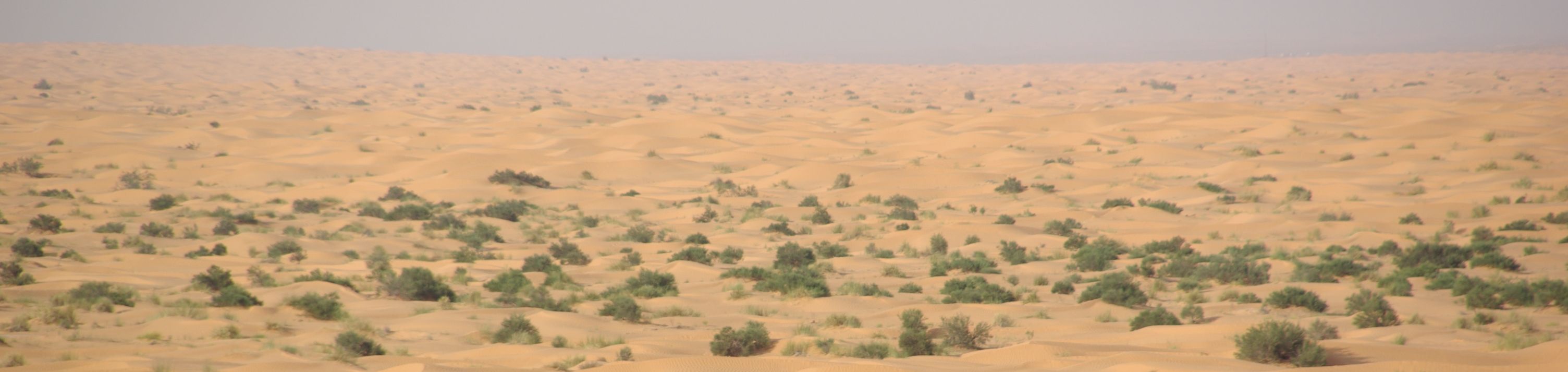 Ride across the dunes