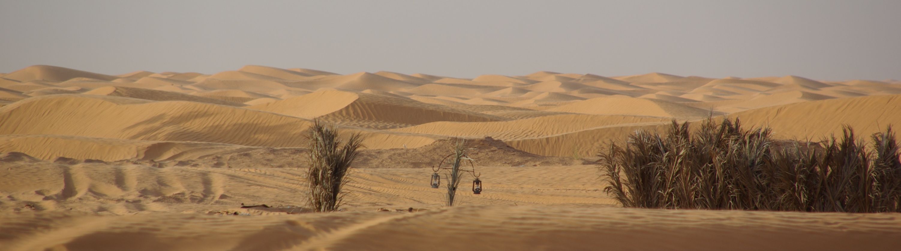 Ride across the dunes