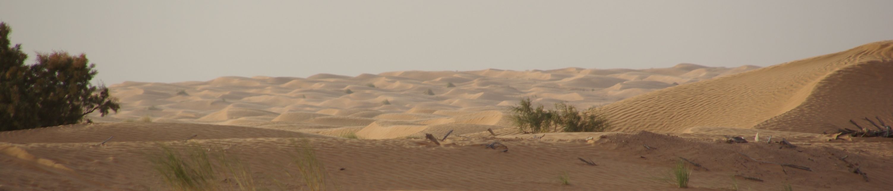Ride across the dunes