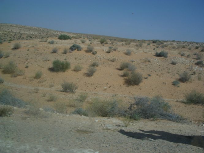 Route vers Douz