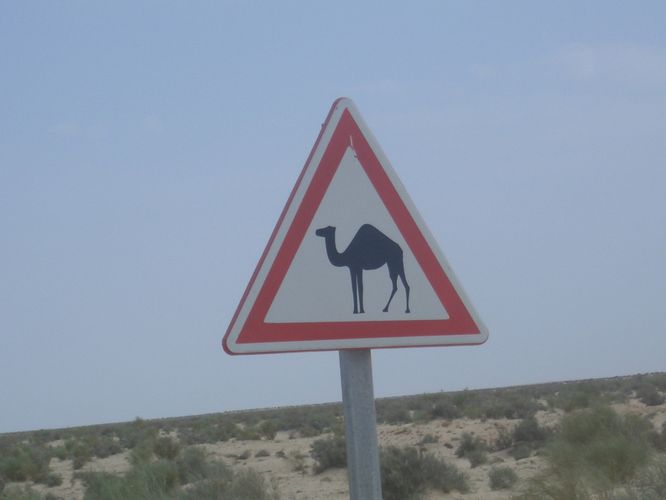 Route vers Nefta