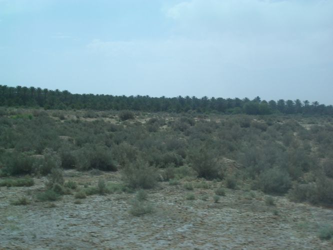 Route vers Nefta