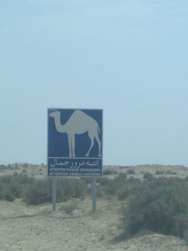 Route vers Nefta