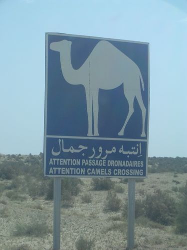 Route vers Nefta
