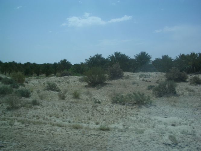 Route vers Nefta