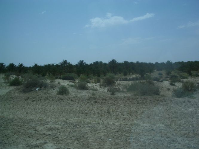 Route vers Nefta