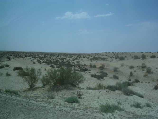 Route vers Nefta