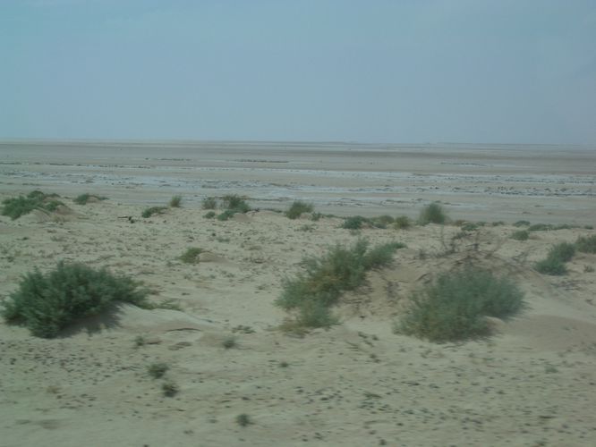 Route vers Nefta
