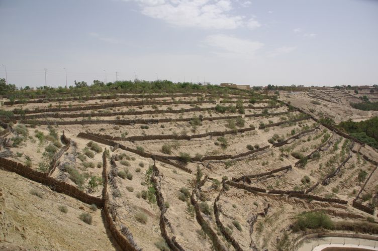 Nefta