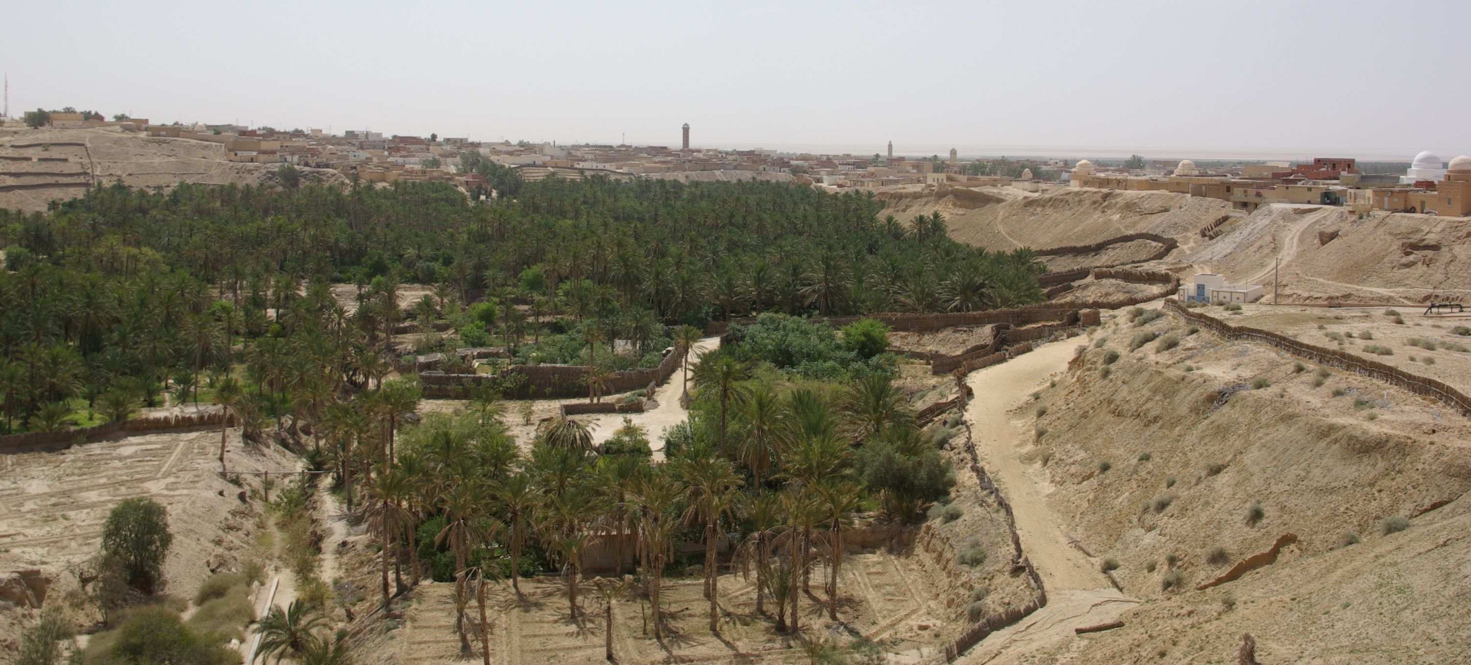 Nefta