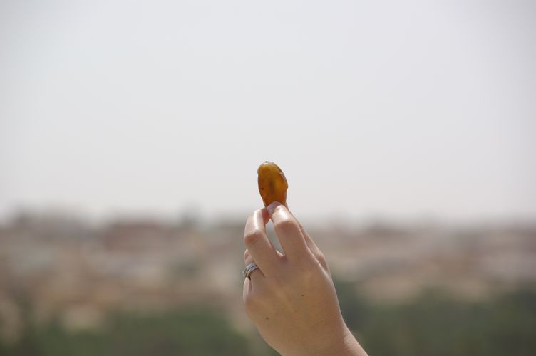 Nefta