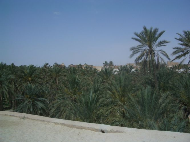 Nefta