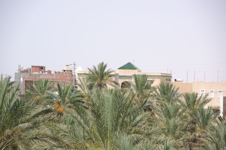 Nefta