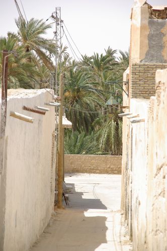 Nefta