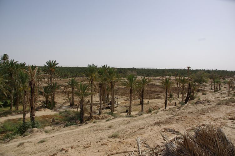 Nefta