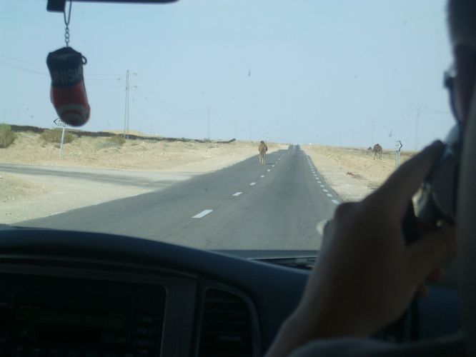 Excursion dans les dunes