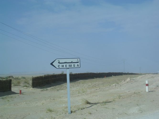 Excursion dans les dunes