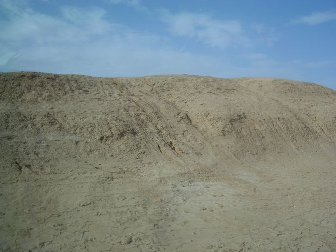Excursion dans les dunes