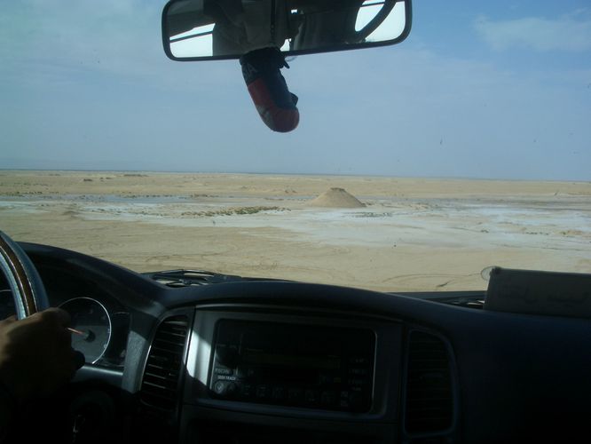 Excursion dans les dunes