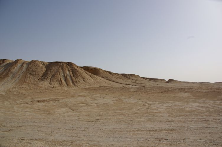 Excursion dans les dunes