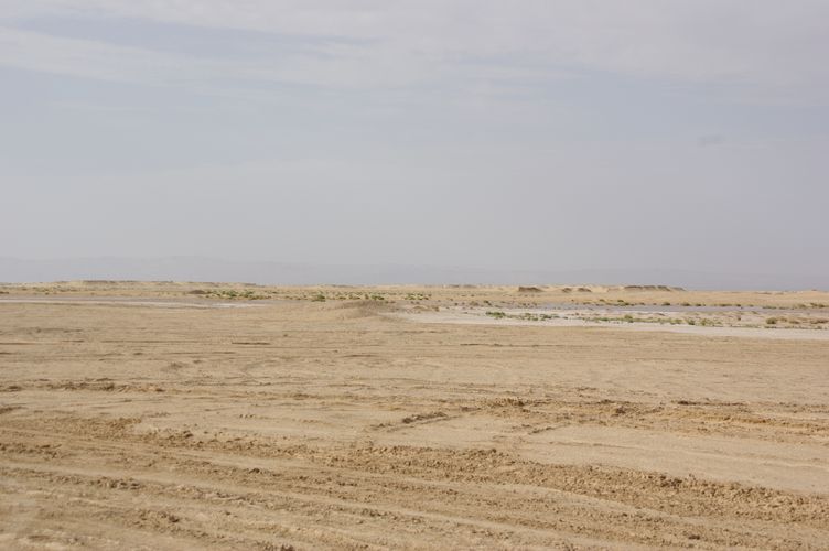 Excursion dans les dunes