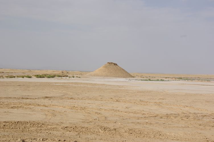 Excursion dans les dunes