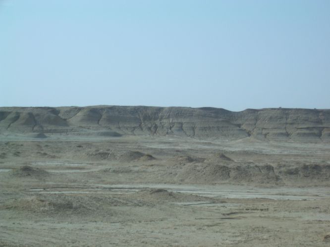 Excursion dans les dunes