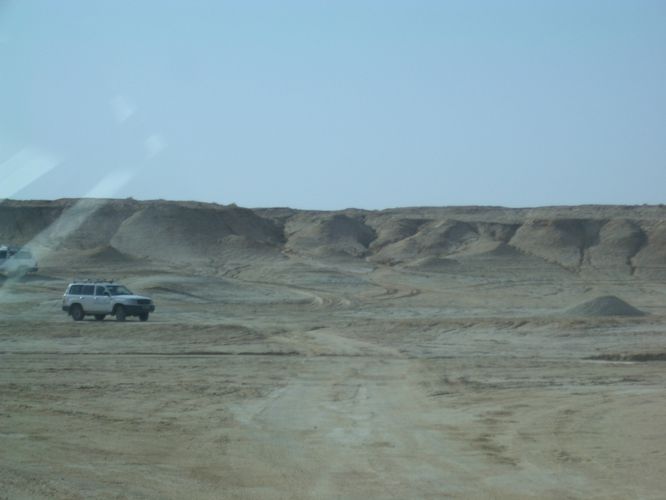 Excursion dans les dunes