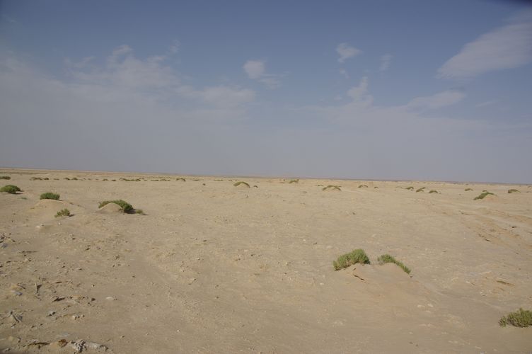 Excursion dans les dunes