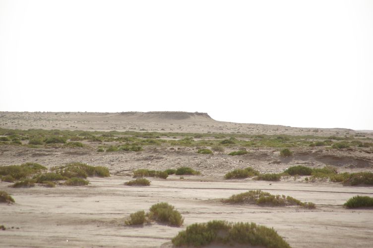 Excursion dans les dunes