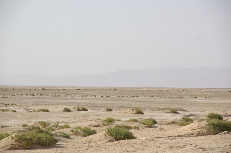 Excursion dans les dunes