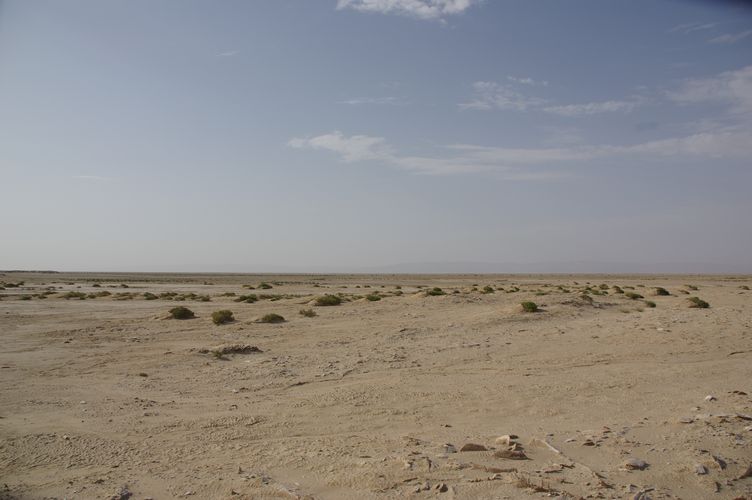 Excursion dans les dunes