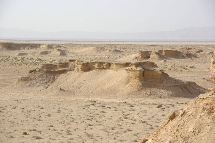 Excursion dans les dunes