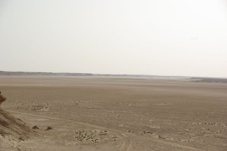 Excursion dans les dunes