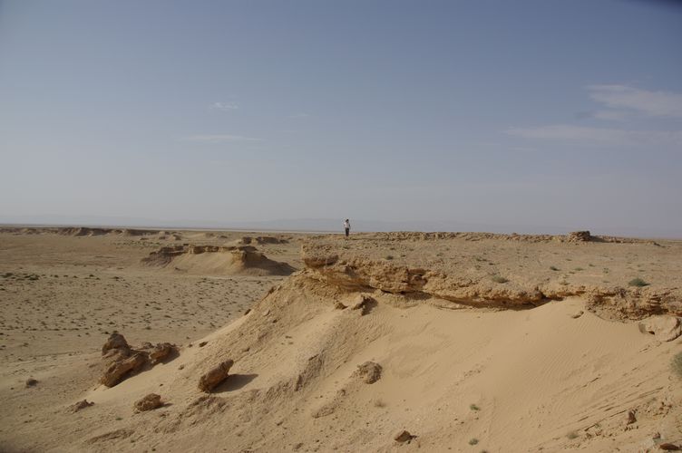 Excursion dans les dunes