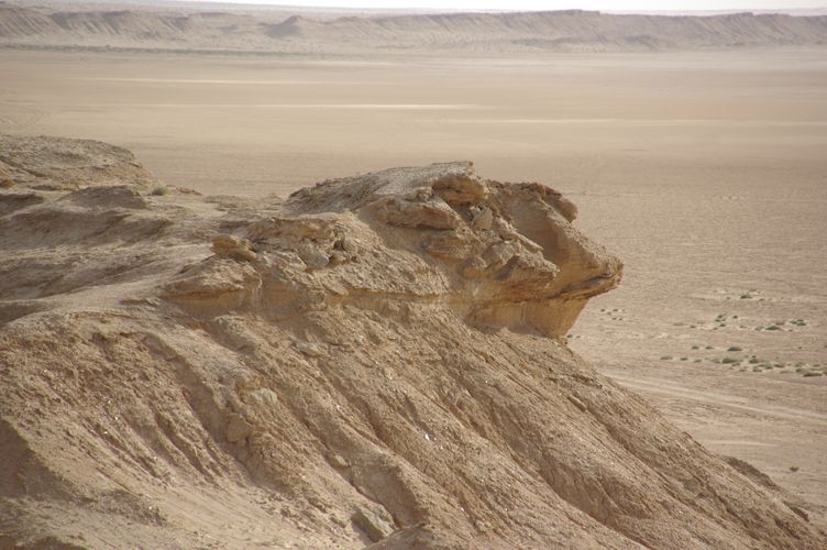 Excursion dans les dunes