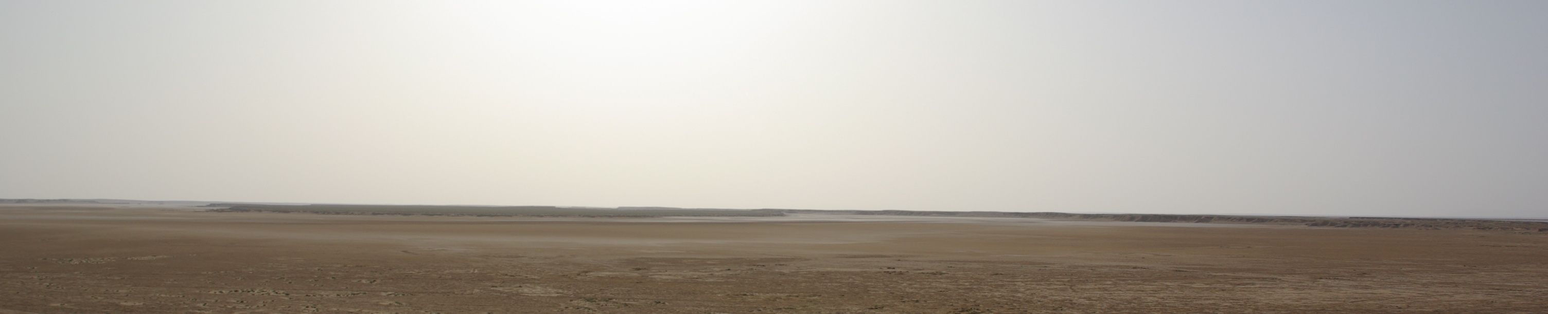 Excursion dans les dunes
