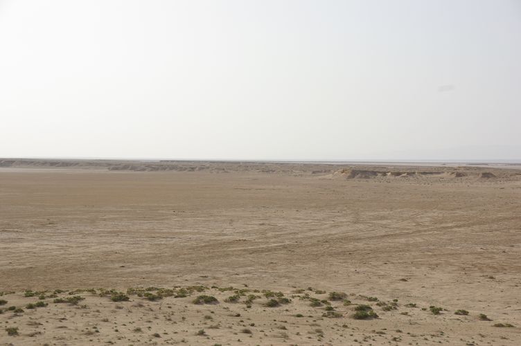Excursion dans les dunes