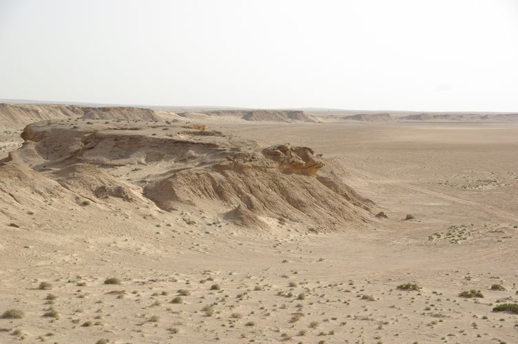 Excursion dans les dunes