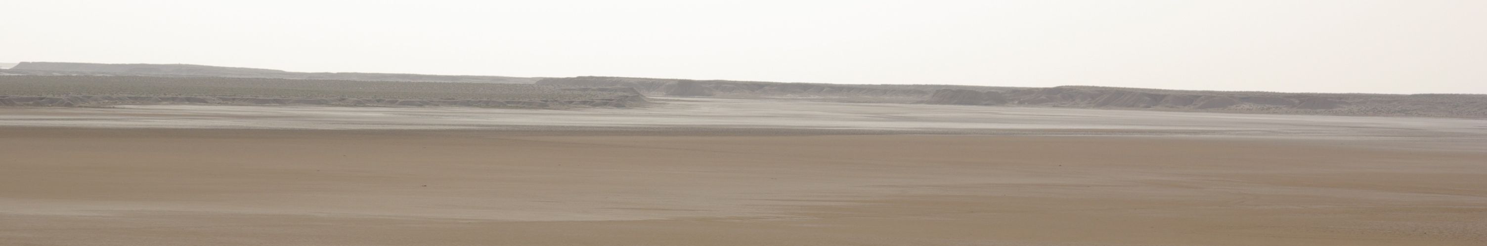 Excursion dans les dunes