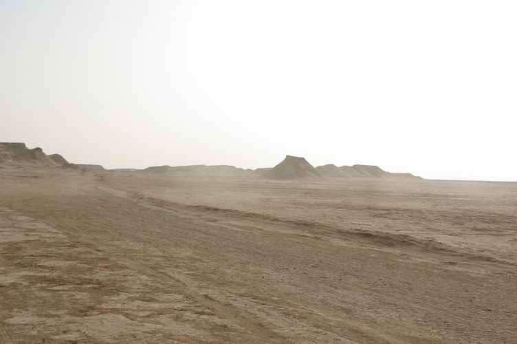 Excursion dans les dunes