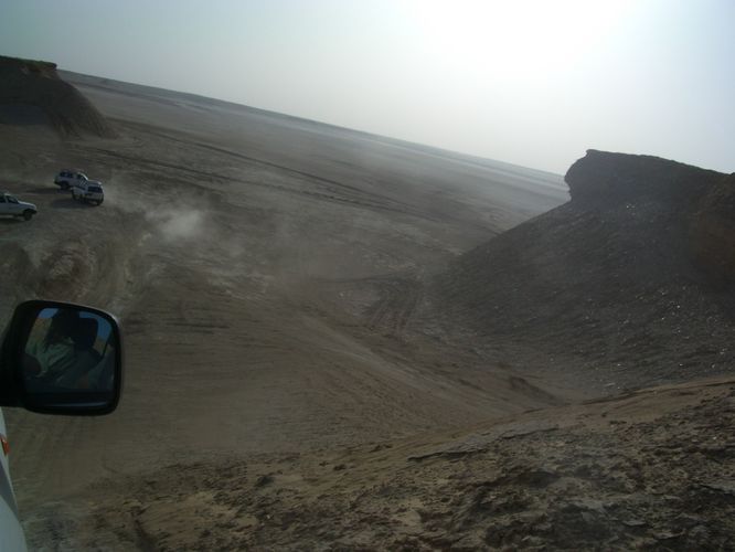 Excursion dans les dunes