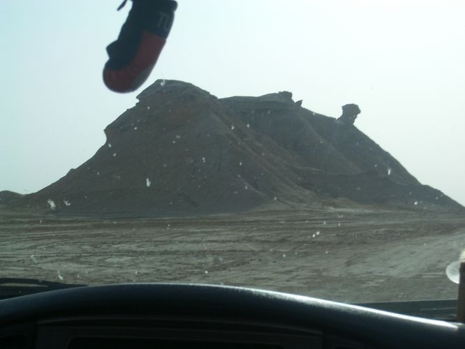 Excursion dans les dunes