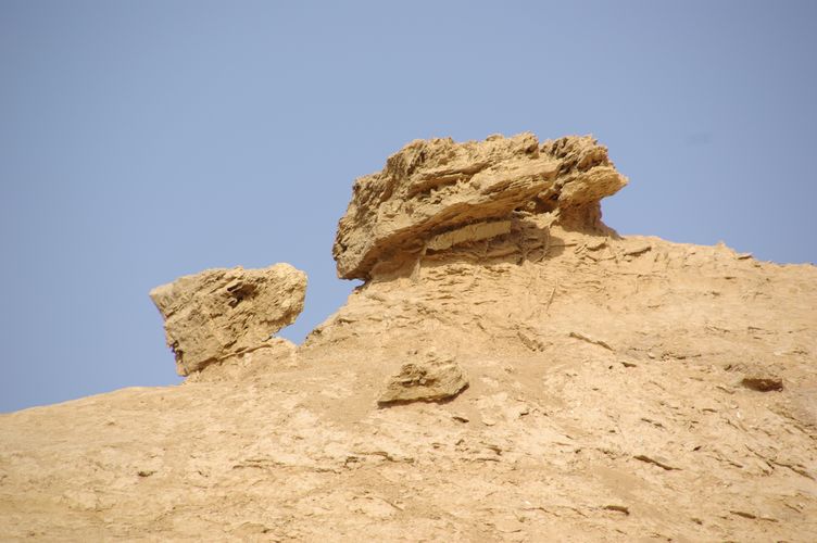 Excursion dans les dunes