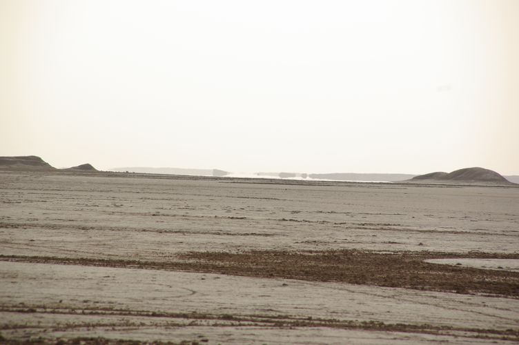 Excursion dans les dunes