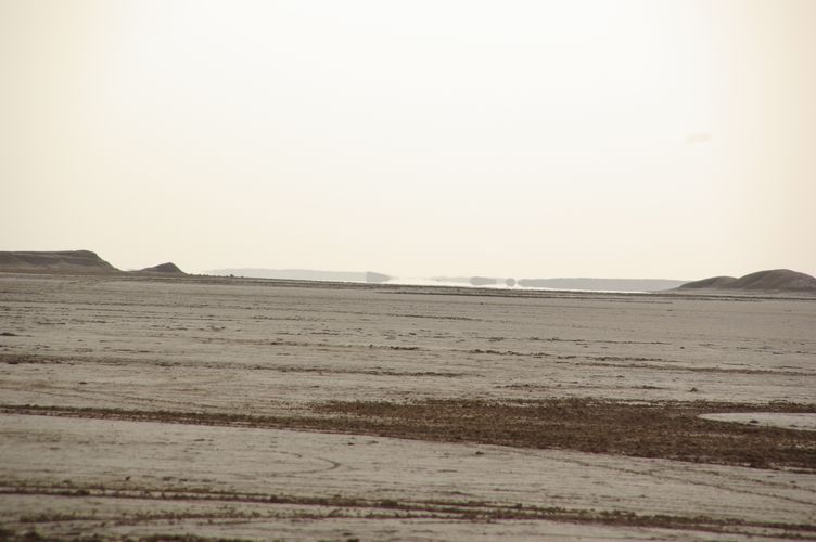 Excursion dans les dunes